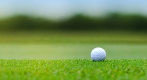 AdobeStock_274219327