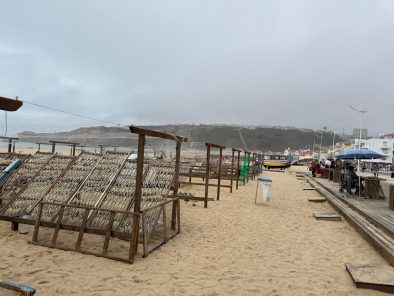 IMG-20250917-WA0068
