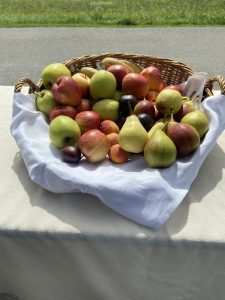 IMG_6082