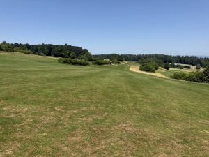 IMG_20260620_121026