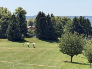 IMG_20260620_135055