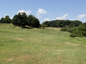 IMG_20260620_140251