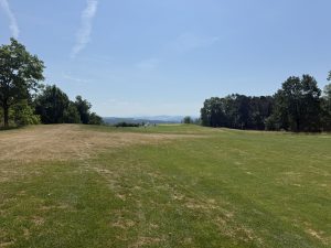 IMG_20260621_115046