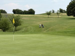 IMG_20260621_141341