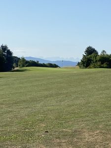 IMG_6987