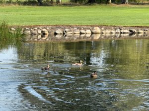 IMG-20260916-WA0053